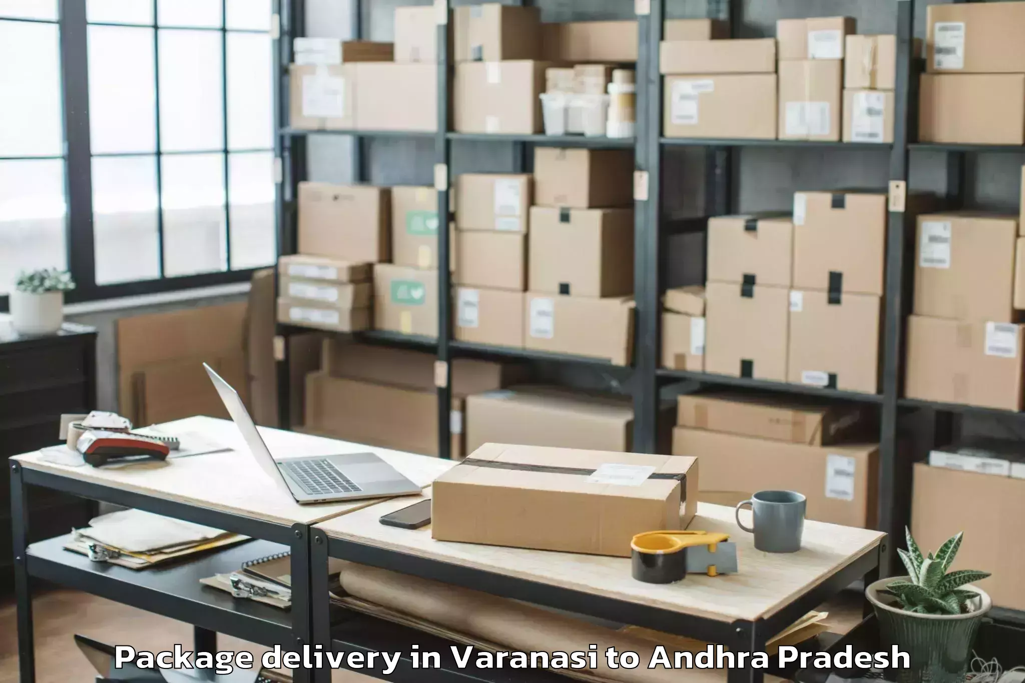 Professional Varanasi to Tenali Package Delivery